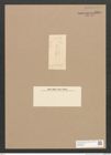 Diatomeae indet. Zeichnungen Sammlung Grunow Nr. 3320 (NHMW-BOT-W0370820)